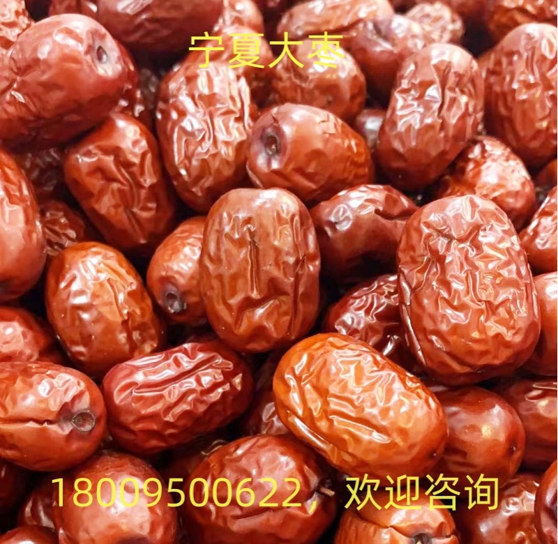 灵武长枣
